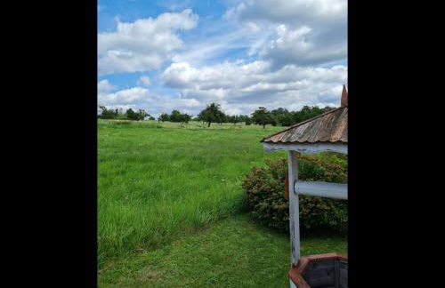 NEU Ferienwohnung Odenwald - Photo 11