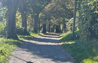 Ferienhaus Lindenallee 20 - Foto 23