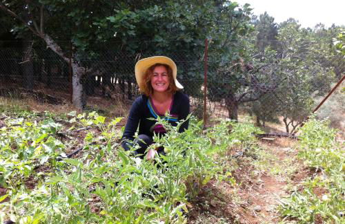 Casa Rural Sierra de Aguafría. Finca El Robledillo - Foto 52