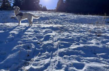 APPARTEMENT CHALETS DU SUPER D - Photo 33