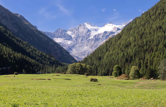 Gran Paradiso National Park Carriage Tour - Photo 3