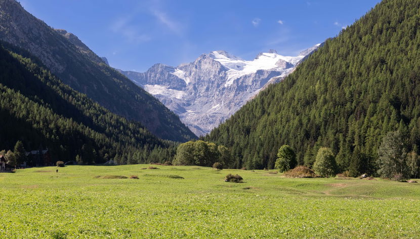 Balade en calèche dans le parc national du Grand Paradis