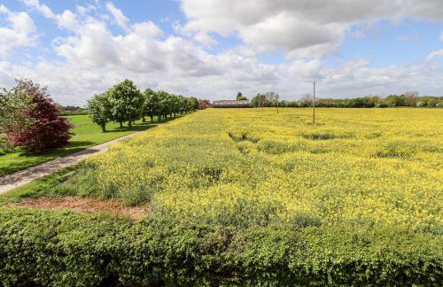 East Farm Cottage - Foto 26