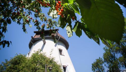 Wiatrak Ryn - dom wakacyjny premium - Foto 4