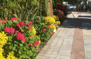 Quinta Forum - Foto 10