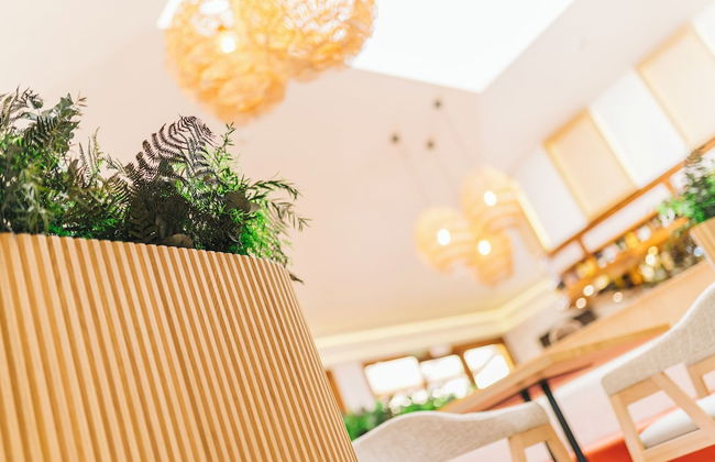 Apartamentos Albatros - Photo 46