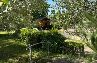 Le Coccole Del Trasimeno - Foto 29