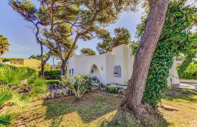 New 2020 Casa Plomer - Foto 23