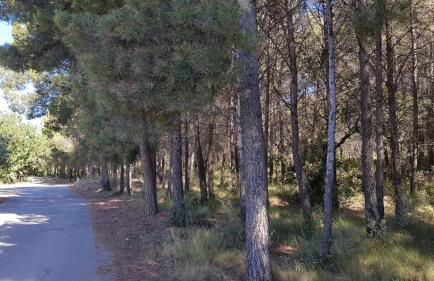 Ca'n Josep - Foto 28