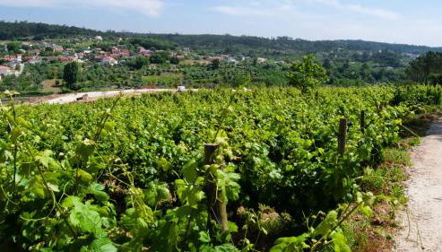 Quinta da Serrana - Foto 5