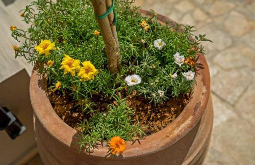 Casa Sofia Apt#2, By Hellocrete - Foto 22