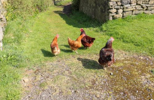 The Barn at Heath Hall Farm - Foto 23