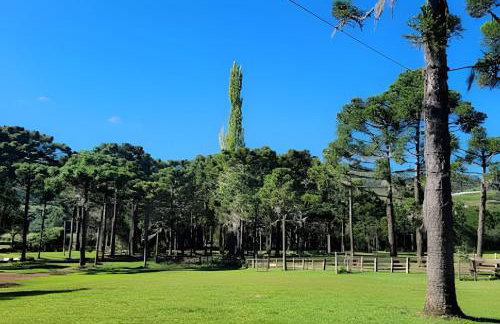 Cabana Pequeno Bosque som dás Águas - Foto 33