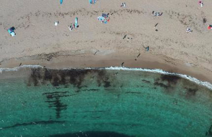 Family-Friendly Bungalow Near Thurlestone Beach - Foto 40