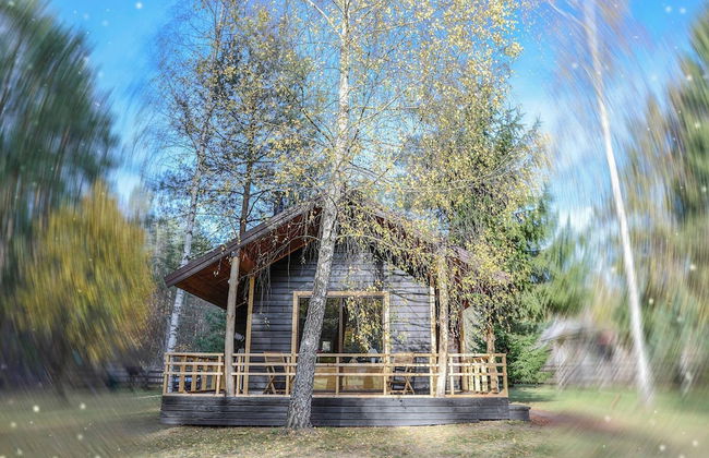 Metai Miške&a Year in the Forest - Photo 20