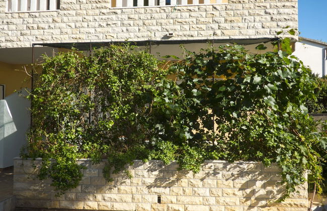 Apartments Plaza - Foto 79