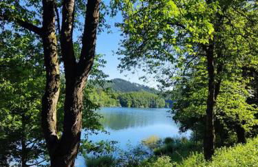 Sauerländer Henne-Lütt - Foto 17