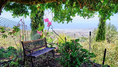 Tizziri rural - Foto 1, Garden