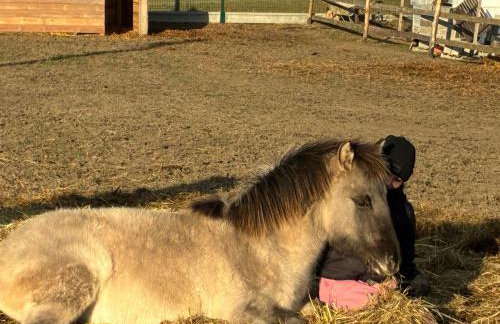 Chata Smarzewo - Foto 7