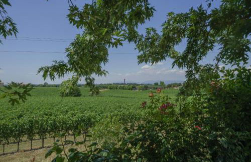La Casina Apartment - con giardino e piscina - Foto 24