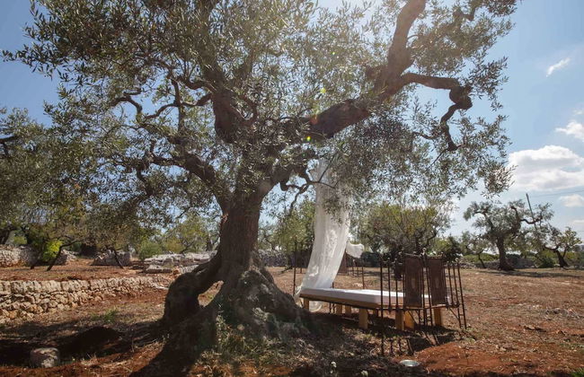 Trulli Lamascrasciola - Foto 64