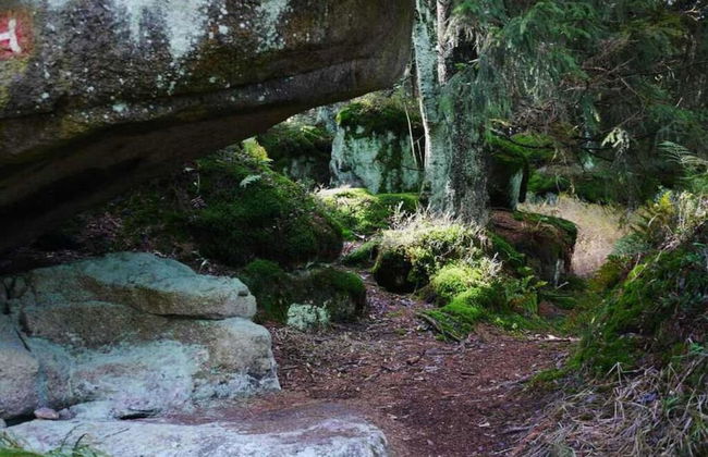 Koferl Modern Retreat - Photo 11