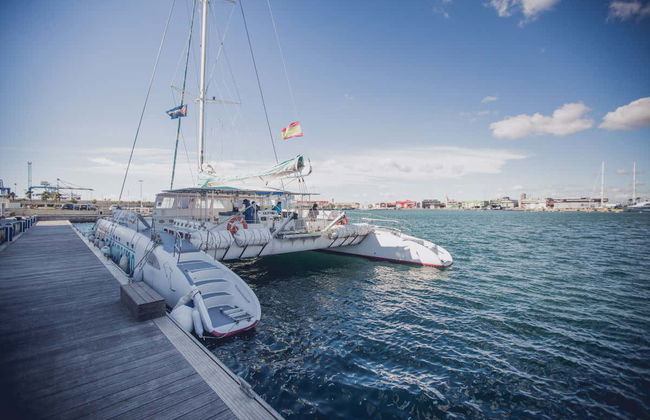 Fête sur un bateau à Valence avec déjeuner - Photo 1