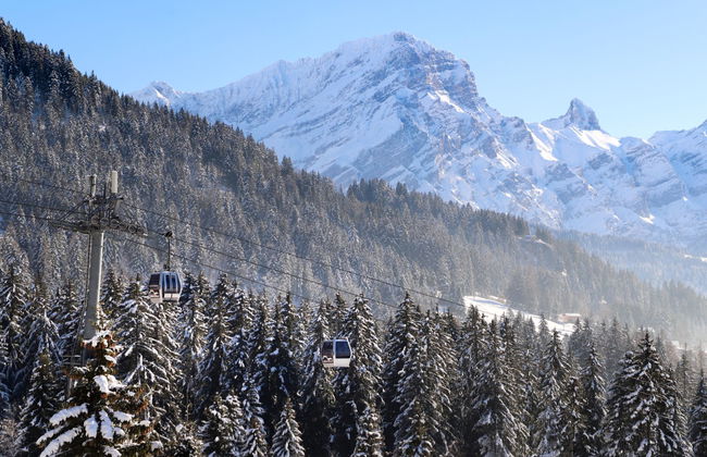 Chalet Maurice - Foto 49