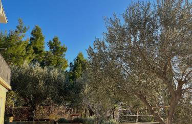 Seaview House Fiore Paklenica - Foto 40