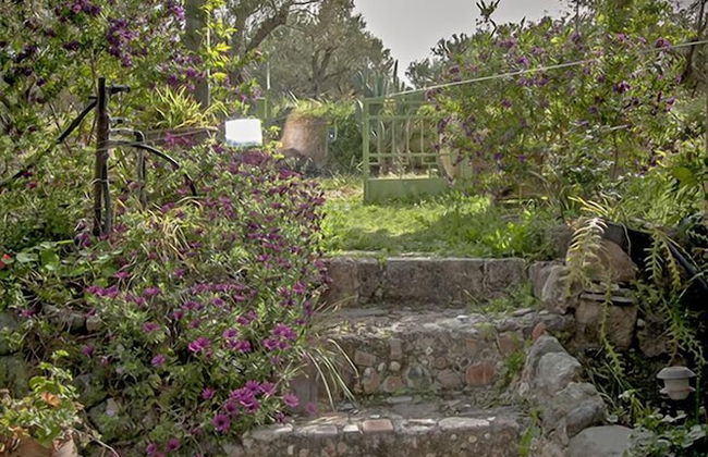 The Olive Yard House - Foto 54