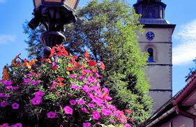 Chwile w Starym Sączu, sauna i beczka - Foto 30