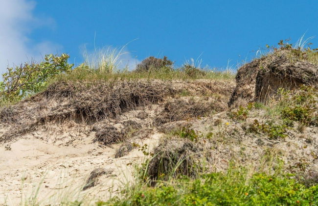 Beautiful Detached Holiday Home in Park - Foto 51