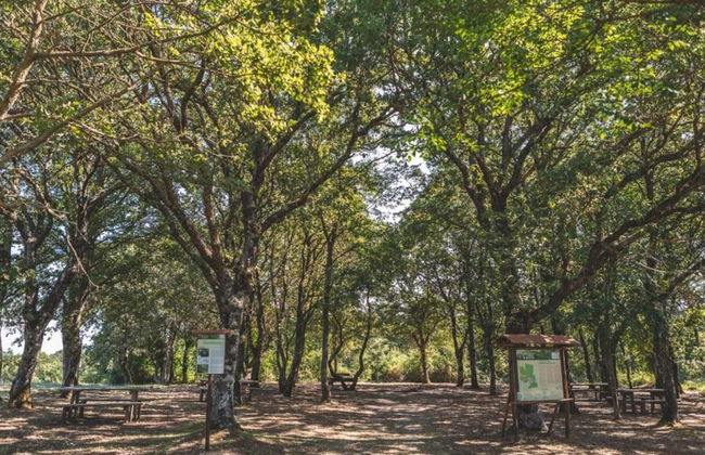 Peaceful Pienza Garden Escape - Foto 25