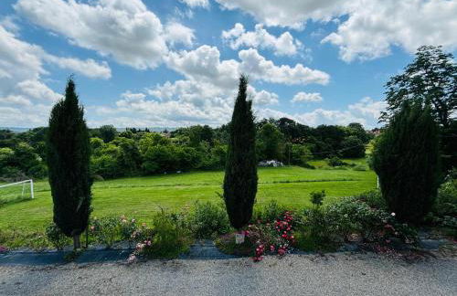 Predio Palazzo - Foto 10