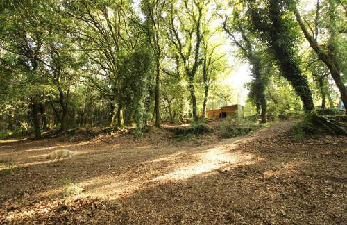 Quinta d'Areda Wine&Pool Experience - Foto 25