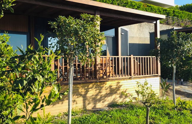 Garden House in Yalikavak - Foto 21