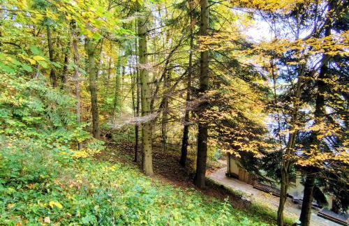 Ferienwohnung Haus am Wald - Foto 24