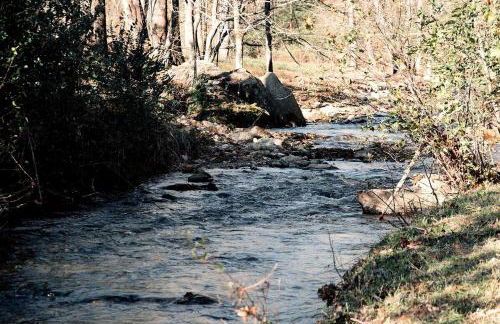 Heated North Carolina Glamping Rental Surrounded by Pisgah National Forest - Foto 40