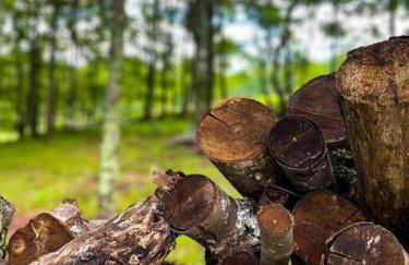 Mountain Brook Cabin - Foto 29