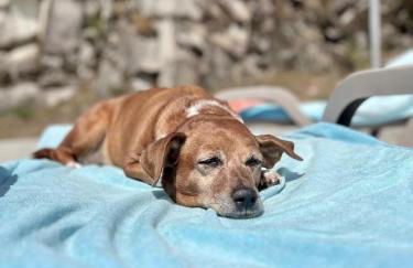 Casa do Capucho - Soajo, Gerês - Foto 41