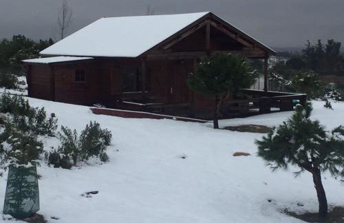 Finca el enebro - Foto 52