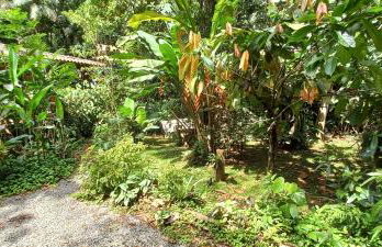 Casa de praia e campo Barra do Una Canto dos Tiês - Foto 5