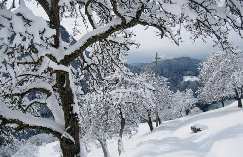 Appartment Kircherhof - Photo 20