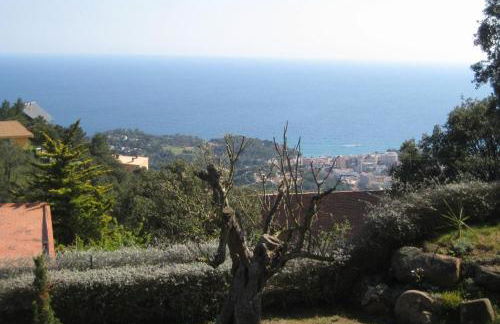 Club Villamar - Caipirinha - Foto 7