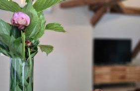 L'Arbre Voyageur - Suite de Luxe au cœur d'Autun - Foto 26