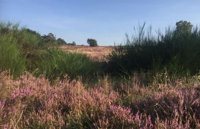 House in Hunzebergen Near Forest Trails - Foto 51