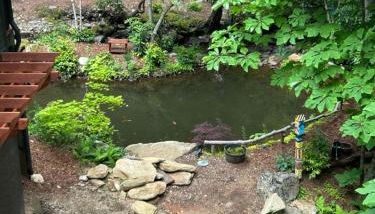 Treetops - Foto 4, Garden view