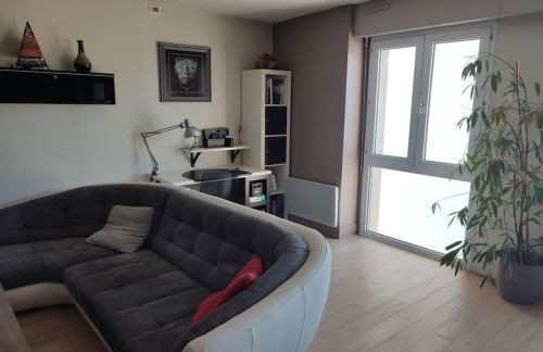 Grand T2 lumineux avec parking - Foto 5