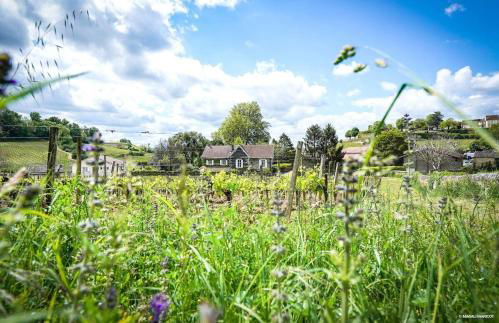 Villa N1 Saint-Emilion - Foto 49