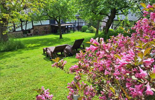 Landhaus am Aremberg - Eifel - Foto 34